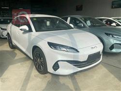 بي واي دي سيل 06 DM-i